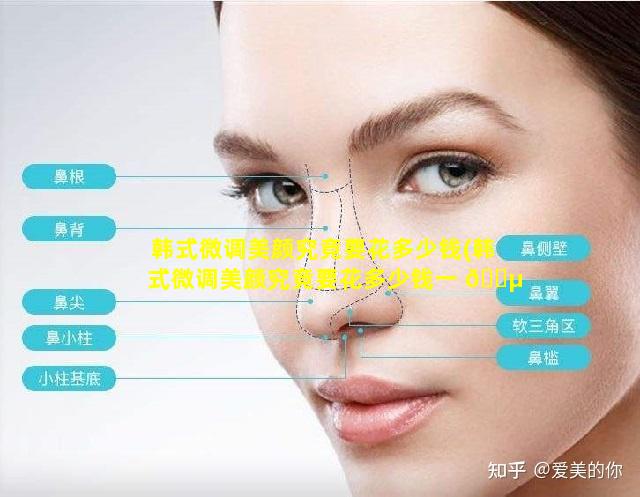 韩式微调美颜究竟要花多少钱(韩式微调美颜究竟要花多少钱一 🐵 次)